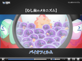 むし歯のメカニズム