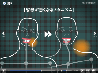 噛み合わせと姿勢